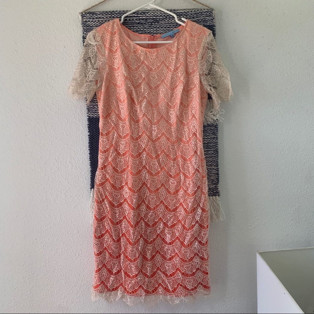 Ombré Lace Dress